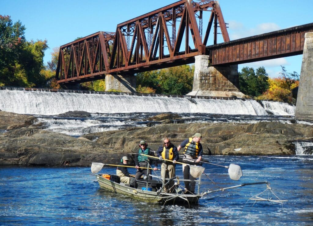 Researchers in a boat use nets to collect samples in a river below a waterfall and railroad bridge